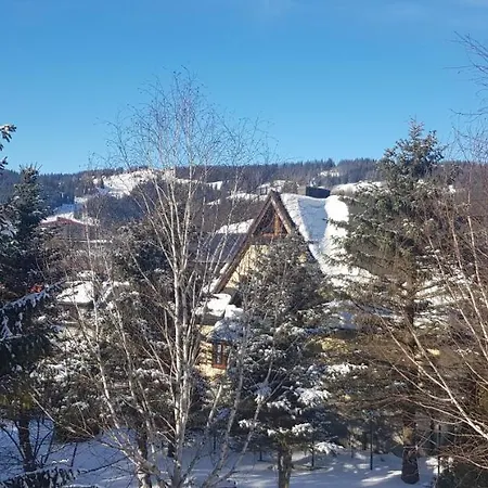 Local 21a زاكوباني